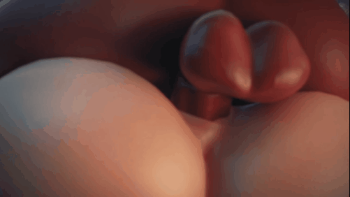 【按压式 巨乳 爆操 兽交】新作-【𝐒𝐏𝐄𝐂𝐈𝐀𝐋】所有生物都喜欢以交配按压姿势做爱，这是最有可能怀孕的姿势-第4张图片-萌站