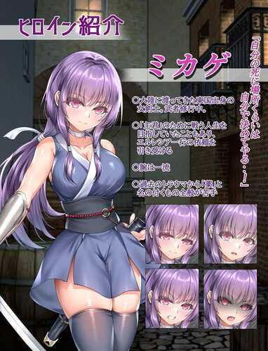 PC/RPG/宁愿以生命为代价也要守护您命   #に代えてもお守りします v1.0 内置汉化版-第3张图片-萌站