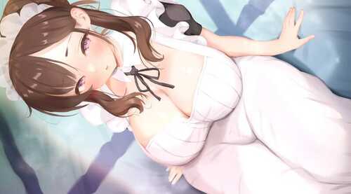 PC/SLG/他让她堕落   #He Maid Her Fall v0.2.5 汉化版