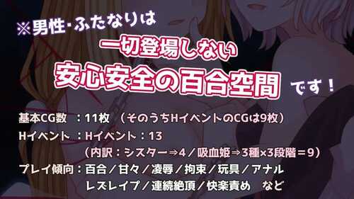 PC/RPG/吸血鬼公主与圣枪天使 #吸血姫と聖槍の天使 v1.0 内置汉化版-第2张图片-萌站
