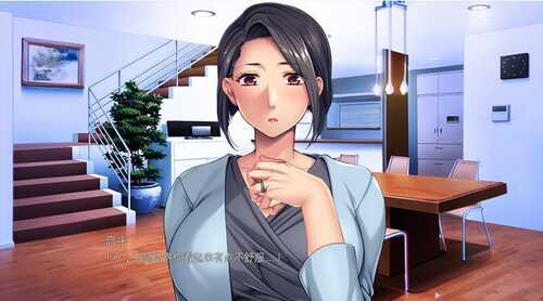  【ADC/AI汉化】背德快乐列车 v1.0 【PC /1.06G】-第4张图片-萌站