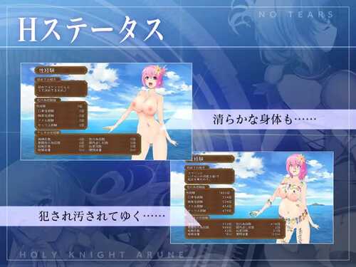 PC/ARPG/圣骑士阿尔内与魔孕的咒印 #聖騎士アルネと魔孕の呪印~Another No Tears~ 汉化版-第2张图片-萌站 PC/ARPG/圣骑士阿尔内与魔孕的咒印 #聖騎士アルネと魔孕の呪印~Another No Tears~ 汉化版-第2张图片-萌站