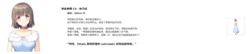 夢幻のティル・ナ・ノーグ  梦幻蒂尔纳诺格 PC  ADV  生肉 4G-第2张图片-萌站