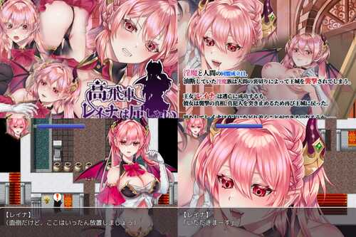 [RPG/官中/凌辱/合集]nikukyu游戏合集
