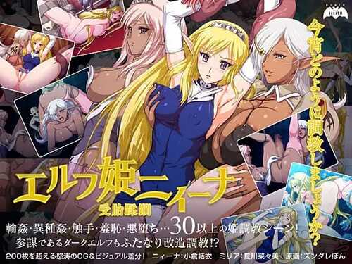 PC/ADV/#精灵公主妮娜 #エルフ姫ニィーナ ～受胎蹂躙 v1.0 AI汉化版+全CG存档