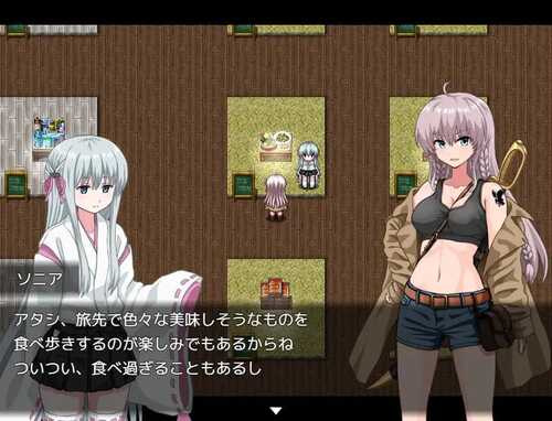PC/RPG/索妮亚的大冒险3：隐藏的三样秘宝   #ソニアの大冒険3つの秘宝の隠されたナリ