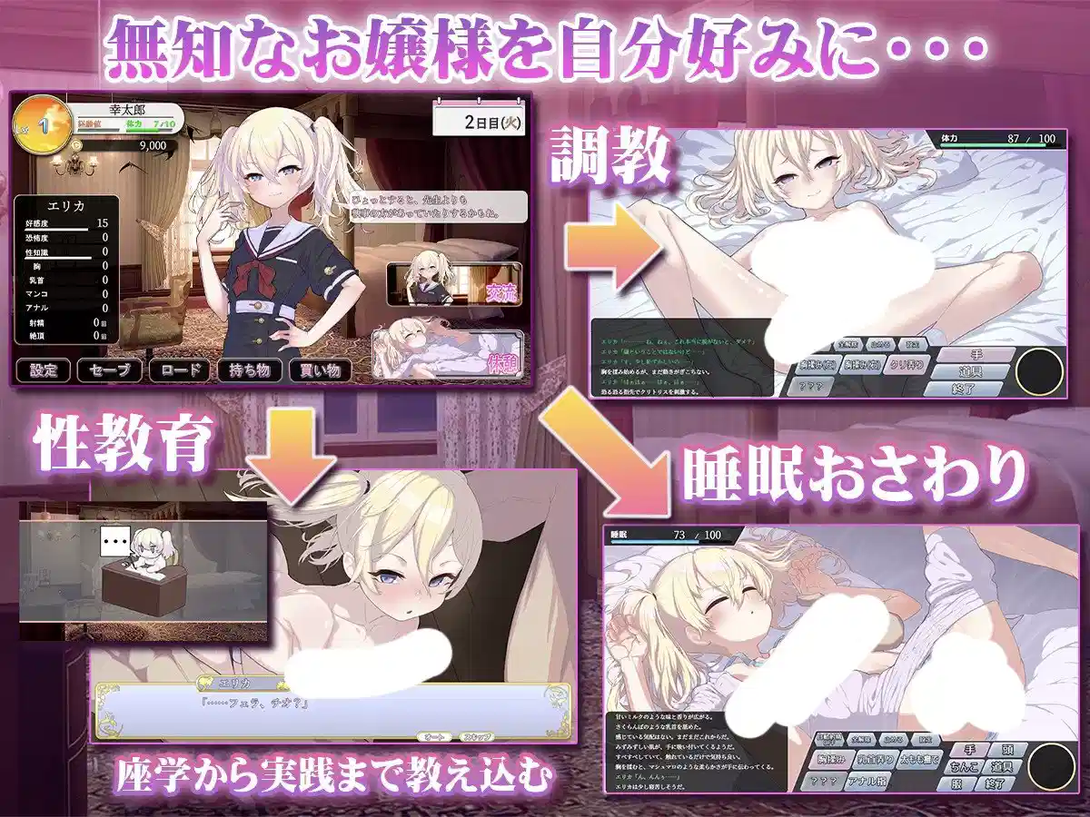 [SLG/AI汉化] 懵懂无知的大小姐 このお嬢様、無知につき [1.1g]