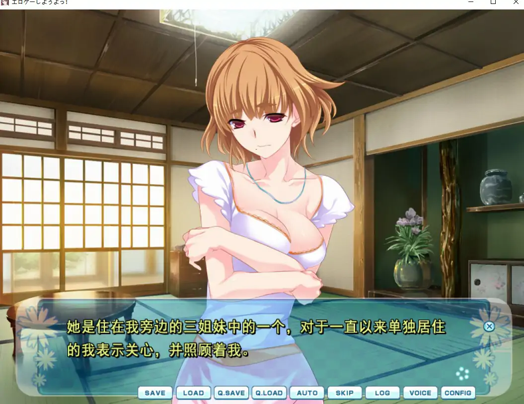 [ADV/汉化] 来玩大人游戏吧！Hゲーしようよっ！AI汉化版电脑 [1.5G]
