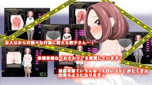 PC 心动痴汉电车 ドキドキ痴漢電車 v1.1 AI汉化版+动画