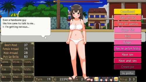 【DLsite/STEAM官中/汉化/2D/口交/肛交/CV/动态】【RJ261011/社团名：Kisamamaki soft】把搭讪海滩打造成疯狂啪啪的裸体海滩！/Let’s Turn Pick-Up Beach to a Nudist Fucking Beach![Ver1.06]【PC/度盘】-第2张图片-萌站