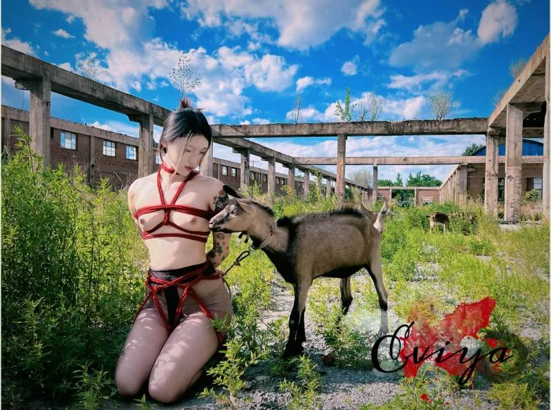 极致反差婊 在别人眼里是清纯舞蹈生 在这只配做下贱母狗... [20v+30p+699m]-第9张图片-萌站