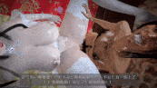  [3D动画] 陆雪琪NTR-上篇 巨乳御姐白丝花嫁 淫妻的不眠之夜 VAM