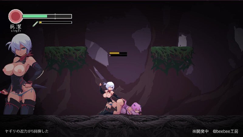 PC/ARPG/忍者的冒险 #復讐の夜霧 v0.30 日文生肉版【2025.1.05 更新】