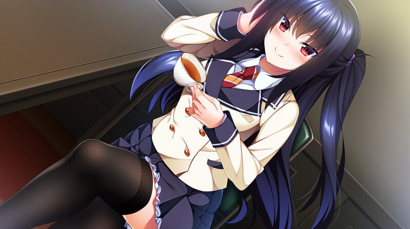 PC/ADV/-SLG享受庶民生活的聚会   #下々の生活を嗜むための集い ～無知で高貴なお嬢様は庶民の性活に興味津々～ v1.0 汉化版+全CG存档