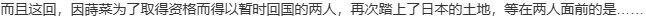 【ADV/汉化/PC】灰色的迷宫-第7张图片-萌站 【ADV/汉化/PC】灰色的迷宫-第7张图片-萌站
