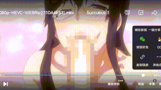里番：超清 サキュバステードライフ THE ANIMATION1+2(磁链接)