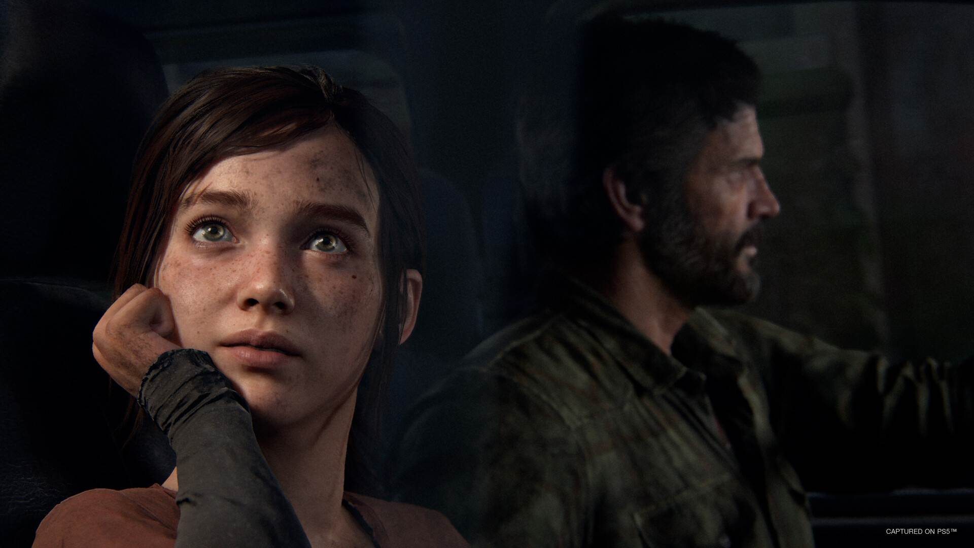 最后的生还者/美国末日（The Last of Us）1.0.5免安装中文版-第2张图片-萌站