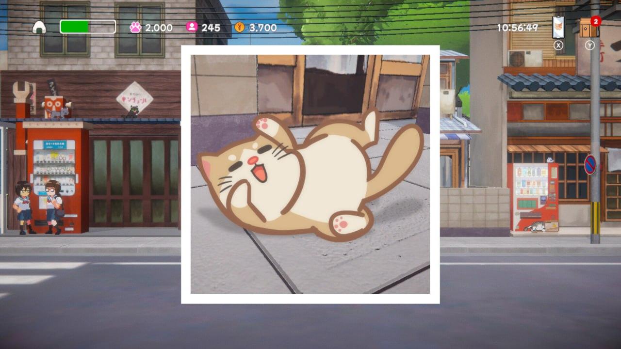PC/#美希与猫之岛  #Neko Odyssey 官方中文版/全年龄段/轻游-第6张图片-萌站