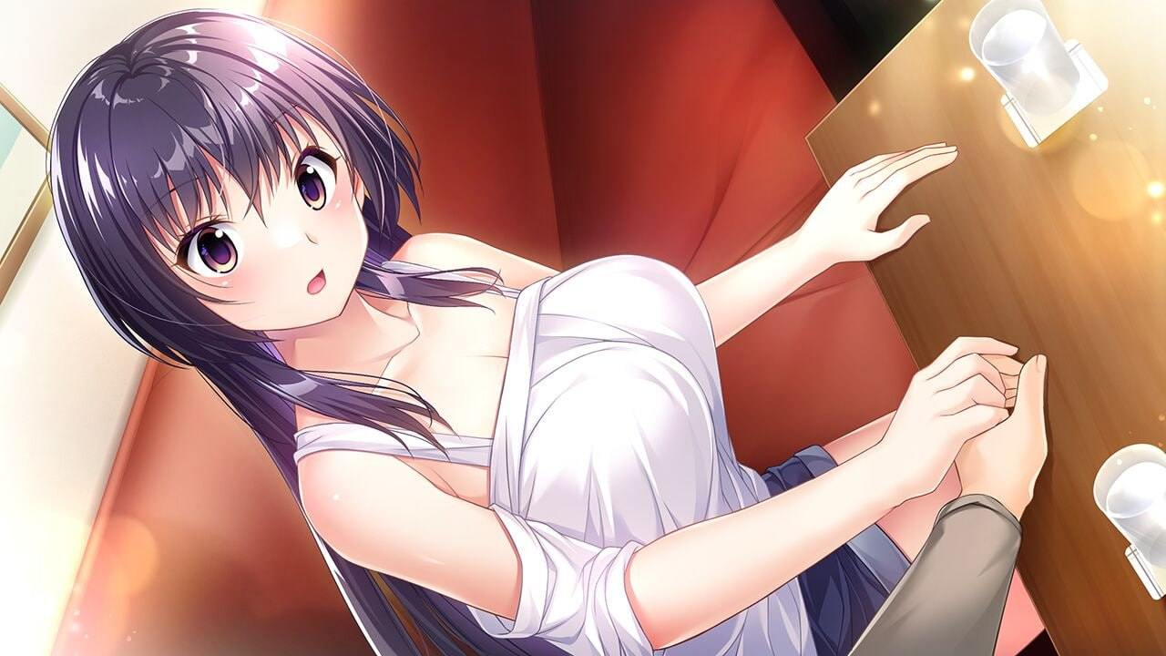 PC/幸乃下萤的恋青日和 ～与义姐的秘密同居 #幸乃下蛍の恋青日和(こはるびより) お義姉(ねぇ)ちゃんとの秘密同棲 v1.0 I汉化版+存档
