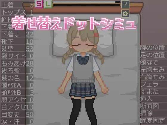 【SLG/汉化/像素动态】换装点阵模拟 着せ替えドットシミュSLG汉化像素动态【223M】-第2张图片-萌站