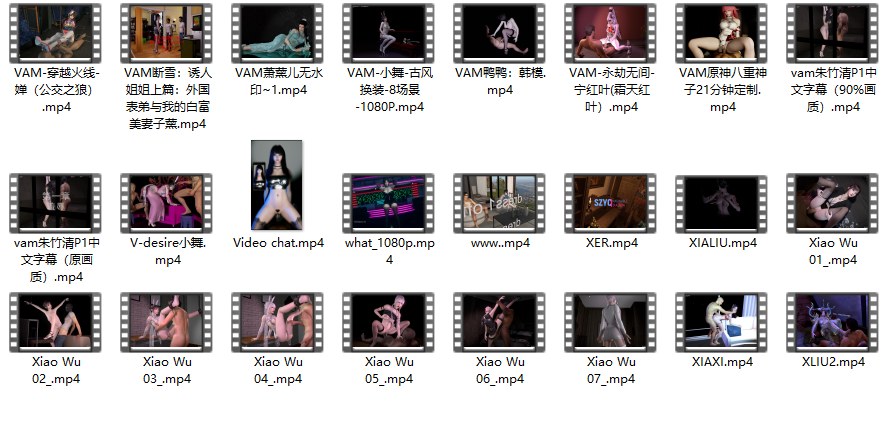 VAM合集09（24V 30.9G）