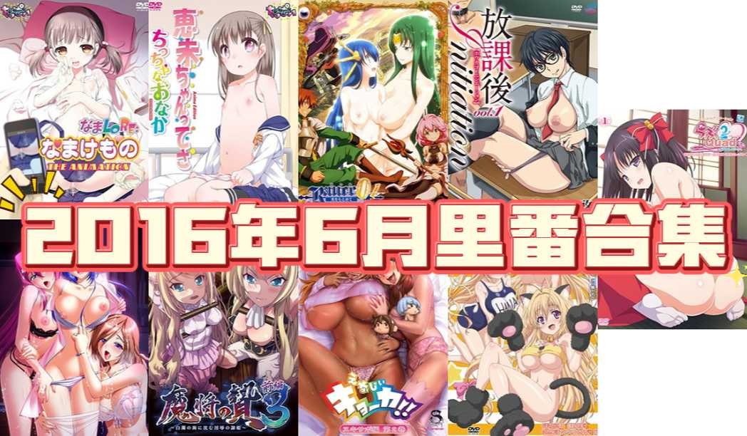 2016年年度里番合集【17G】-第11张图片-萌站