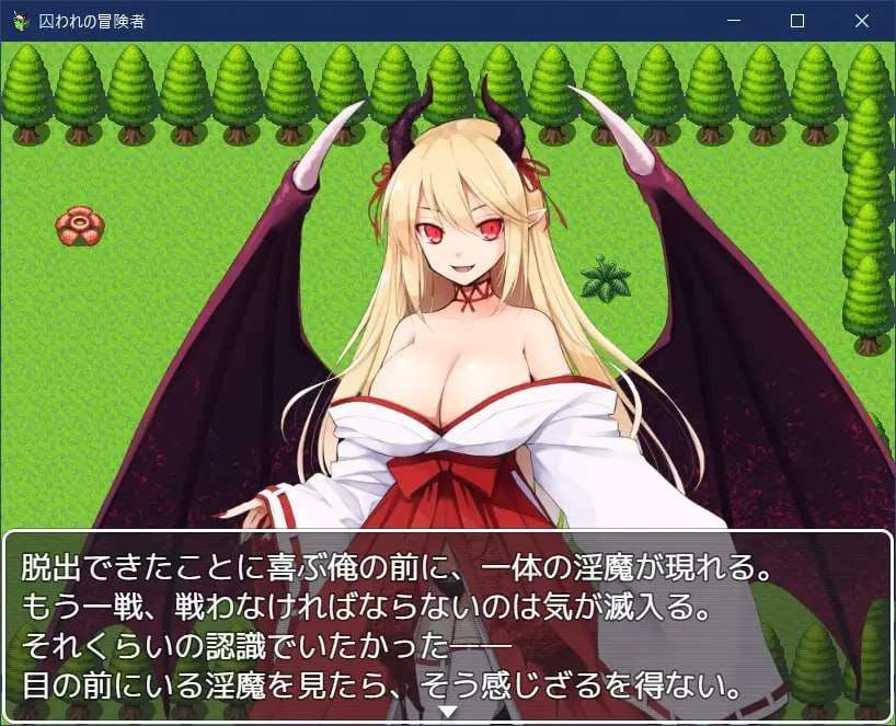 新官中[日式回合RPG/魅魔/反向X] 被俘的冒险家 囚われの冒険者 官中版 [720M]-第3张图片-萌站