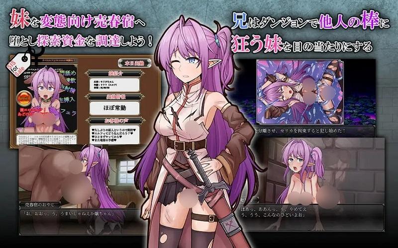 【RPG/PC/NTR/巨乳】ネトラレ発情エルフ妹剣士セリカ