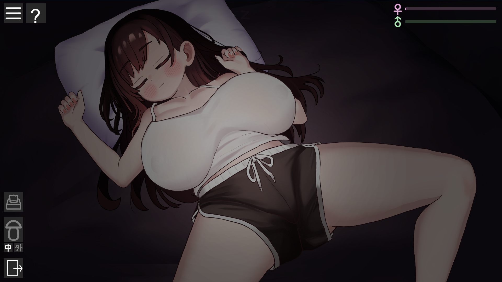 【巨乳 夜袭 兄妹 触摸 汉化】 我潜入了义妹的房间 PC