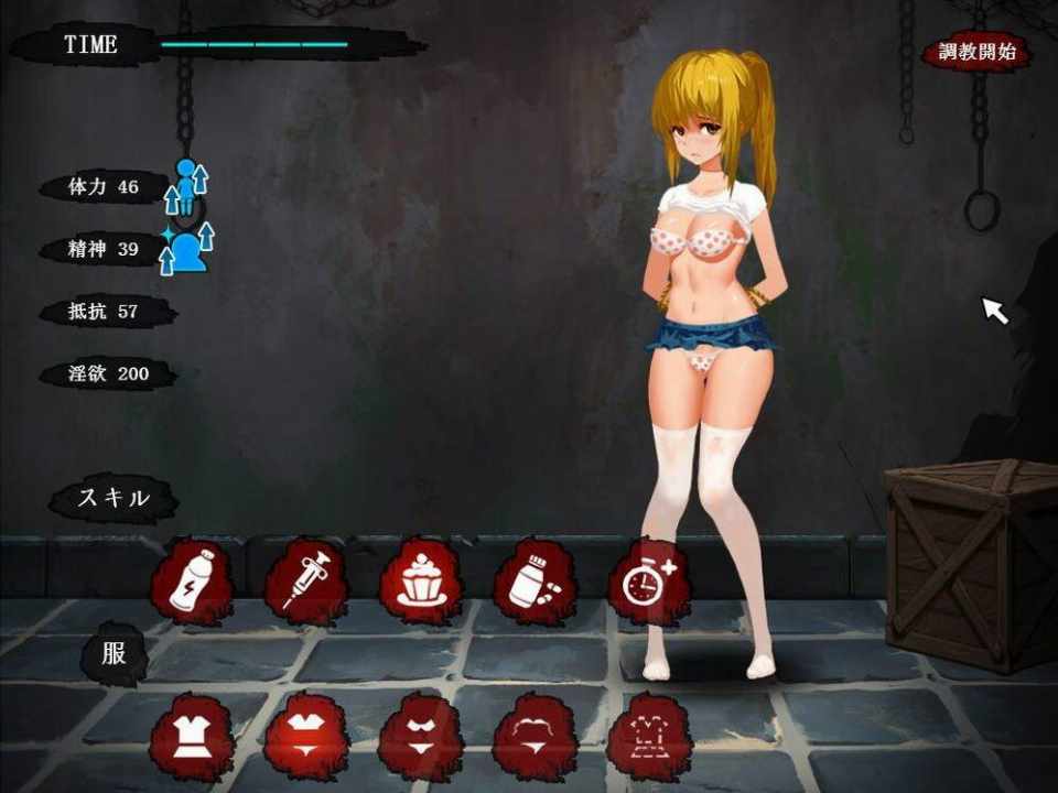 [SLG汉化全动态][アリバイ+]监禁小姐姐~Imprisonment汉化版 PC