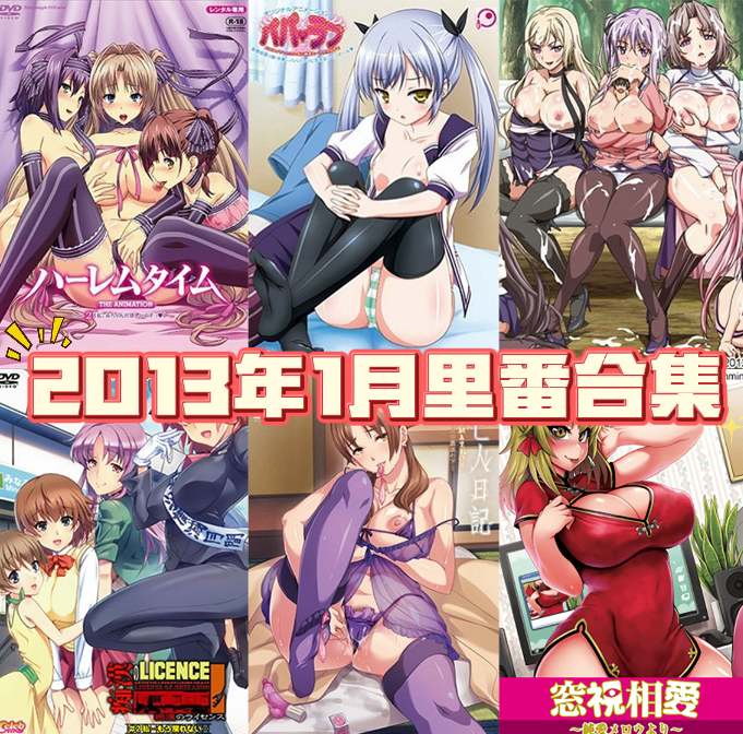 2013年年度里番合集【22.4G】
