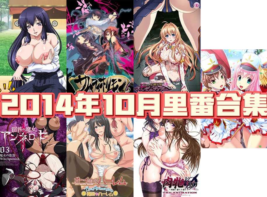2014年年度里番合集【24.2G】-第9张图片-萌站