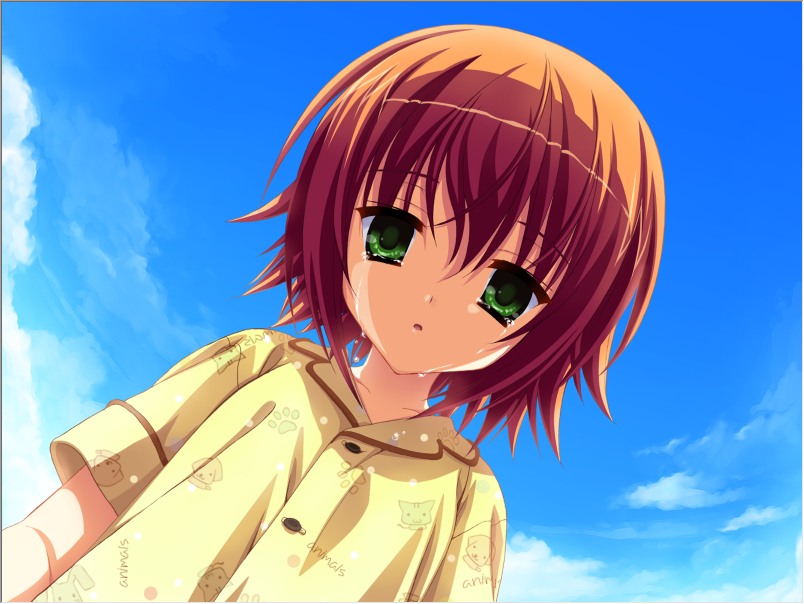 【ADV/汉化/PC】夏空彼方-第23张图片-萌站 【ADV/汉化/PC】夏空彼方-第23张图片-萌站