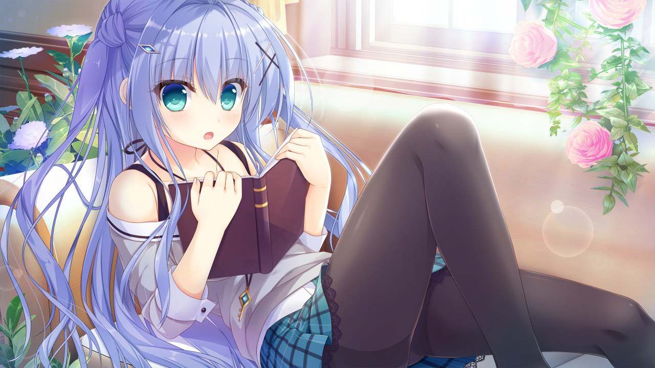 PC/[ADV/汉化] 不败世界与终焉之花 PC+模拟精翻汉化版-第3张图片-萌站