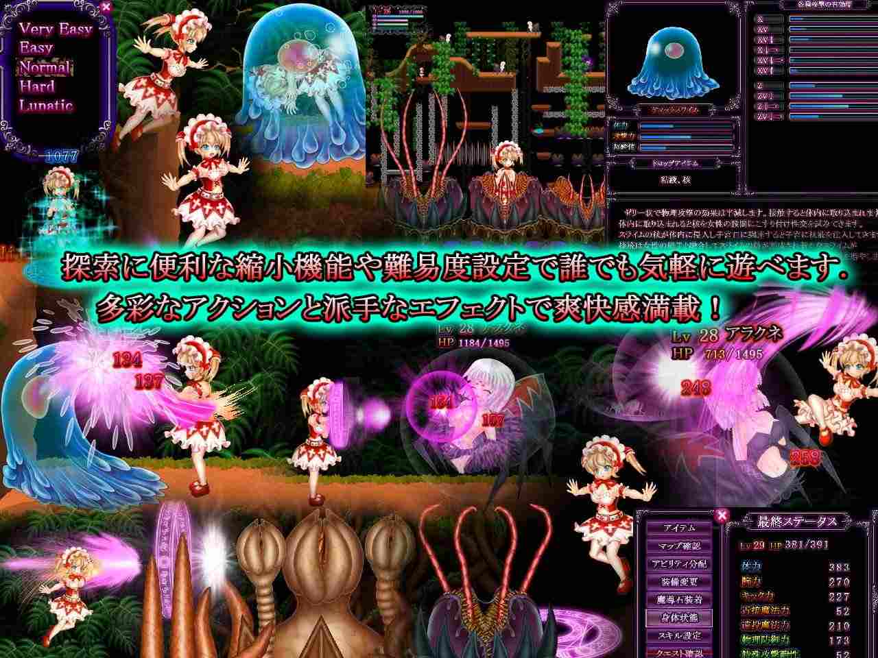 先行体验[大型ACT/动态] 爱丽丝与魔窟迷宫 アイリスと魔窟のラビリンス 生肉版 [5.80G]