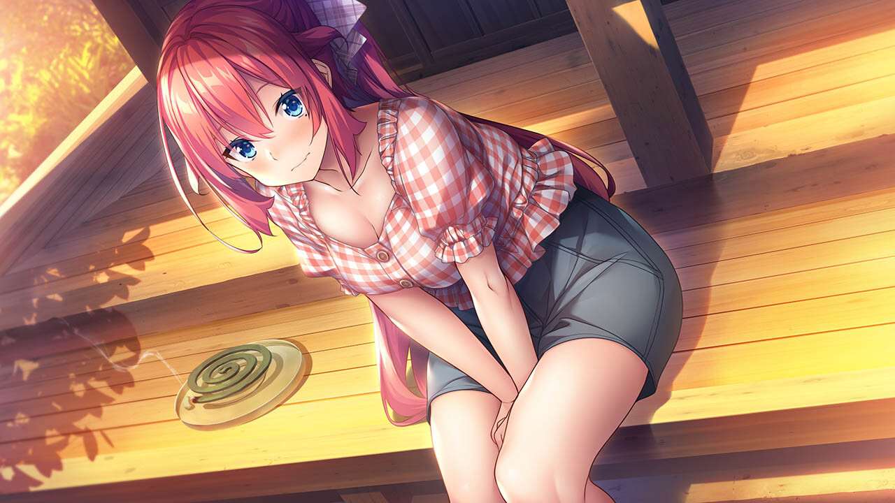 甜蜜夏日 ~Perfect Edition~v1.0.0|容量3.05GB|官方简体中文-第2张图片-萌站