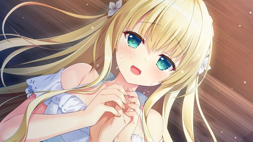 PC/ADV/梦幻的提尔纳诺  #夢幻のティル・ナ・ノーグ 精翻汉化版+全CG存档
