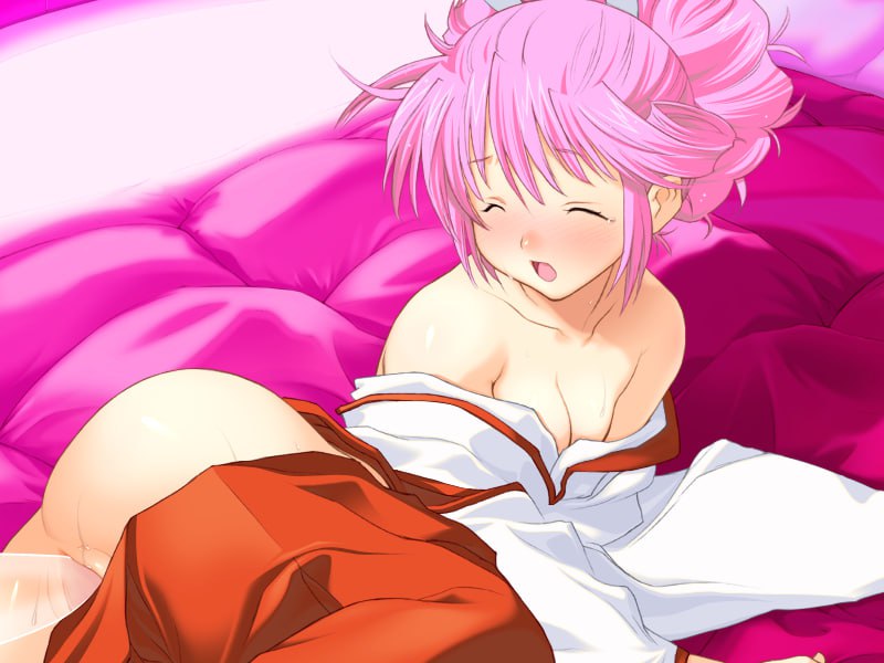 【PC端神作】[ALICESOFT] 兰斯全系列 1-10 汉化合集【16部本体+16部游戏CG】【附带CG存档&攻略&修改器】【共20G无修正】【建议收藏】-第13张图片-萌站