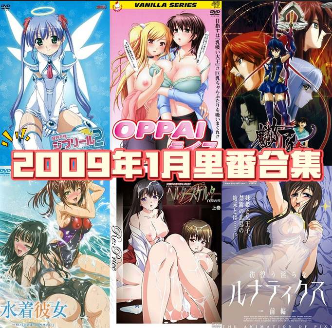 2009年年度里番合集【18.2G】