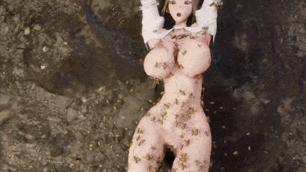 【动画/生物/束缚/后入/中出/爆操】[コトリボックス] ラクーン・オブ・ザ・グリーン「蜘蛛」-第2张图片-萌站