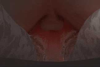 【3D动画】咕嘿嘿/guheihei大佬作品更新