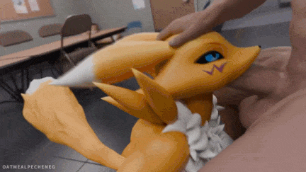 福瑞Renamon Compilation