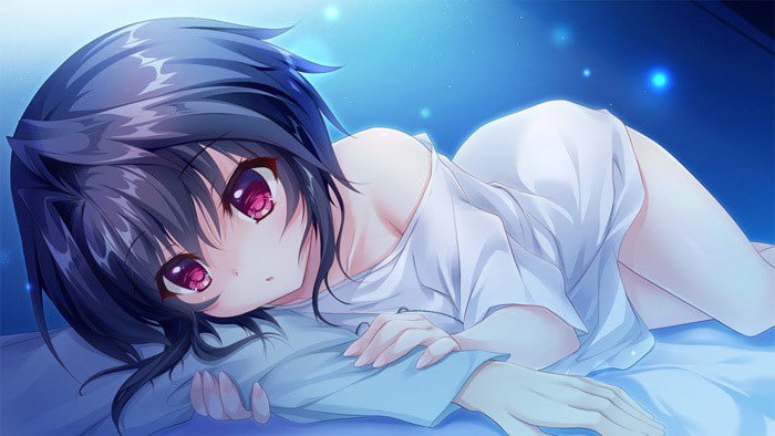 PC/ADV/9-nine-雪色雪花雪余痕 #9-nine-ゆきいろゆきはなゆきのあと 中文汉化版