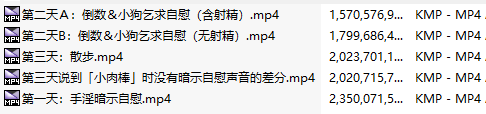【汉化音声】【五集合一全集】冒险的终结正太抖M的你～挑战夜之自慰游戏、打着杂耍的名义在公众面前被“小肉棒”一直命令到抖M射精人生完蛋为止♪～【简体中文版】[CV: #大山チロル /#MOMOKA /#海音ミヅチ/ #秋野かえで]-第3张图片-萌站