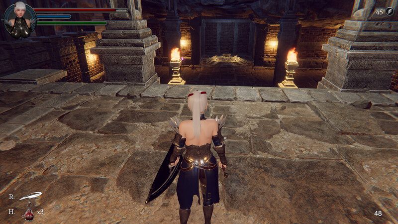 更新[日式3D/动态] 地下城的女骑士 地下城の女騎士 Ver25.01.23 Steam官中步兵版 [3.40G度]-第5张图片-萌站