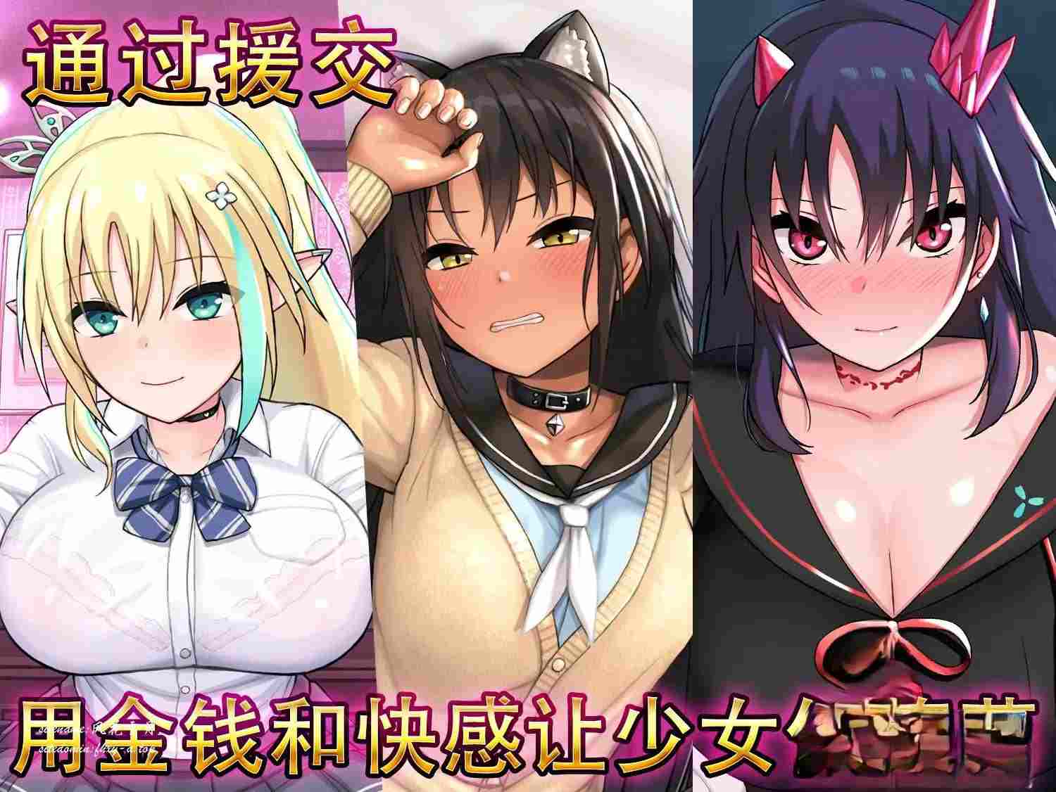 PC+安卓 [互动SLG/官中/动态] 援交幻想~用爱与勇气与援交拯救世界-第4张图片-萌站