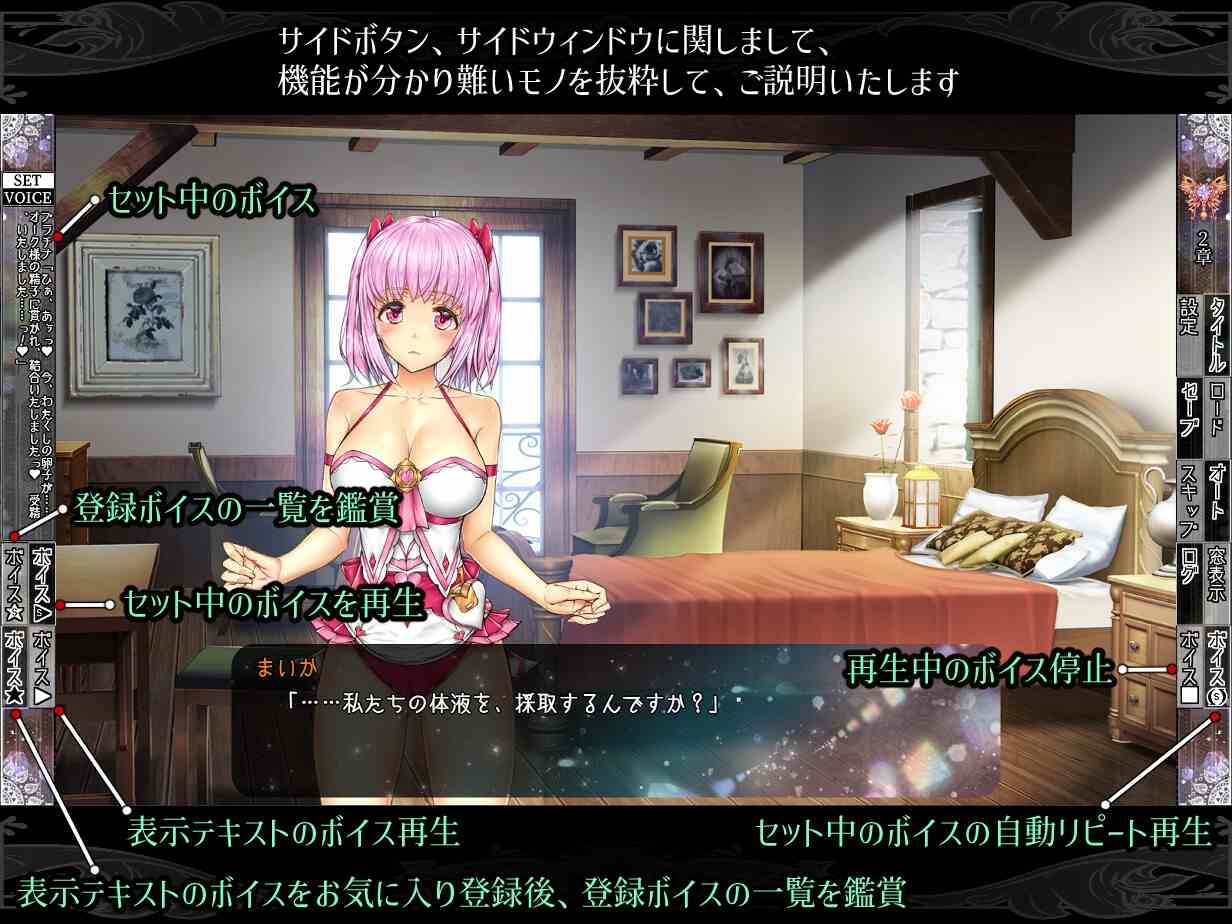 新汉化[日式SLG/动态] 少女异种间狱～魔法少女&精灵公主、与兽人一起度过的异世界性生活～ 少女異種間獄 ～魔法少女&エルフ姫、オークと過ごす異世界性活～ AI汉化版+全CG存档 [3.60G]