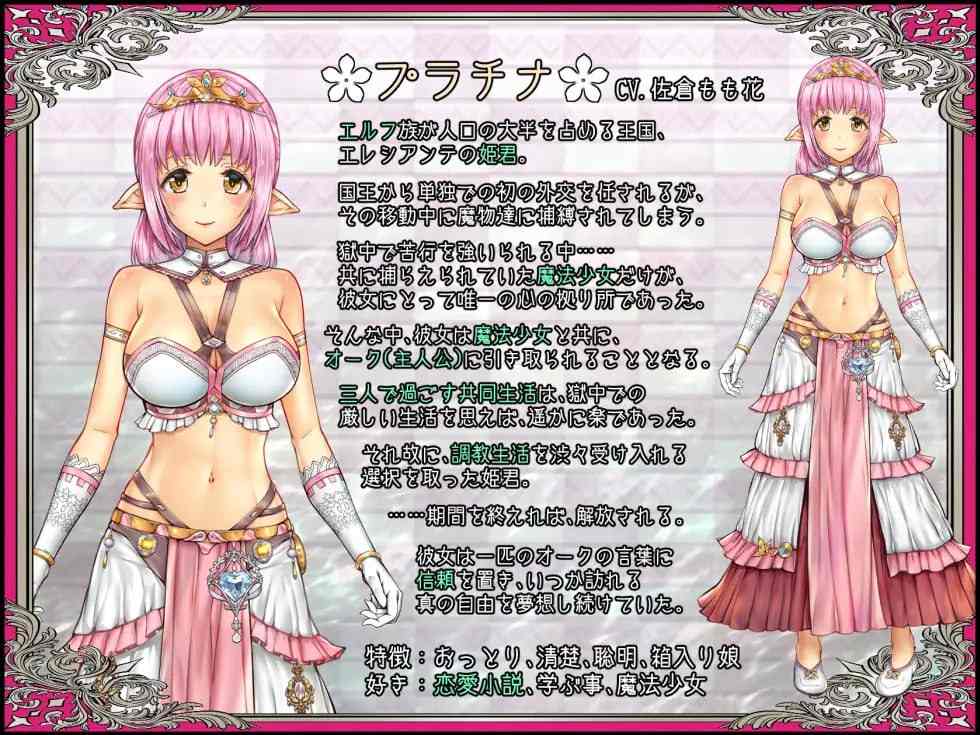 PC/SLG/.少女異種間獄 ～魔法少女&エルフ姫、オークと過ごす異世界性活～ 汉化版【2024年12月19日 发售】-第2张图片-萌站