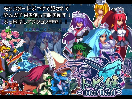 新官中[日式ACT/动态] 飞跃公主 トビ姫 – Inter Breed – 官方中文版 [1.50G]