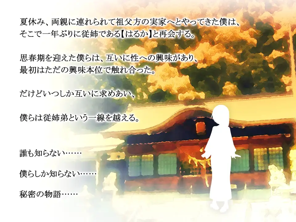 PC-田舎の夏休み ～従姉と過ごす秘密の一週間～ Ver1.1.1 簡體中文-第4张图片-萌站